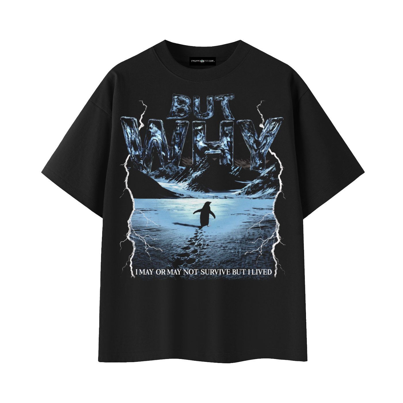 BUT WHY T-SHIRT