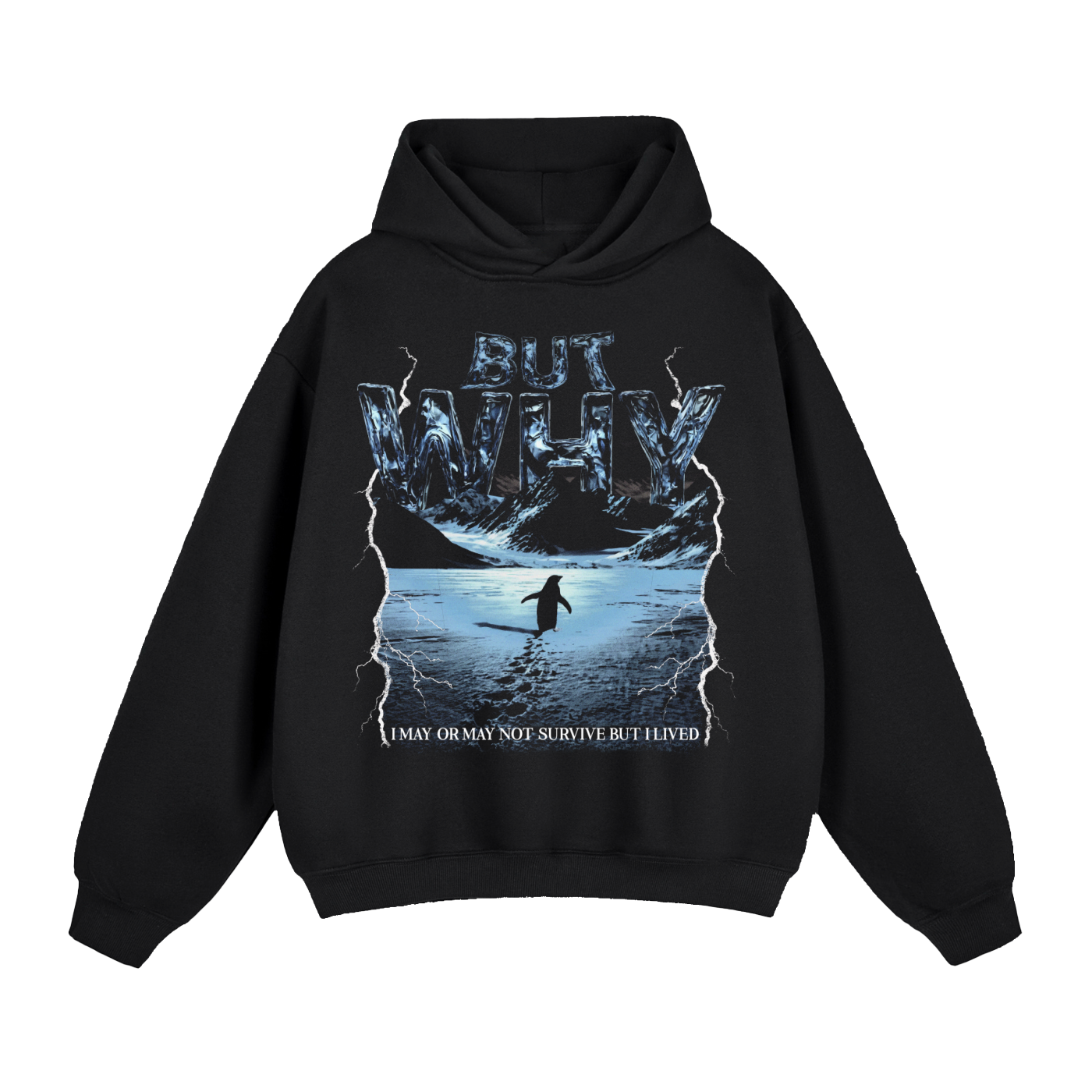 BUT WHY HOODIE