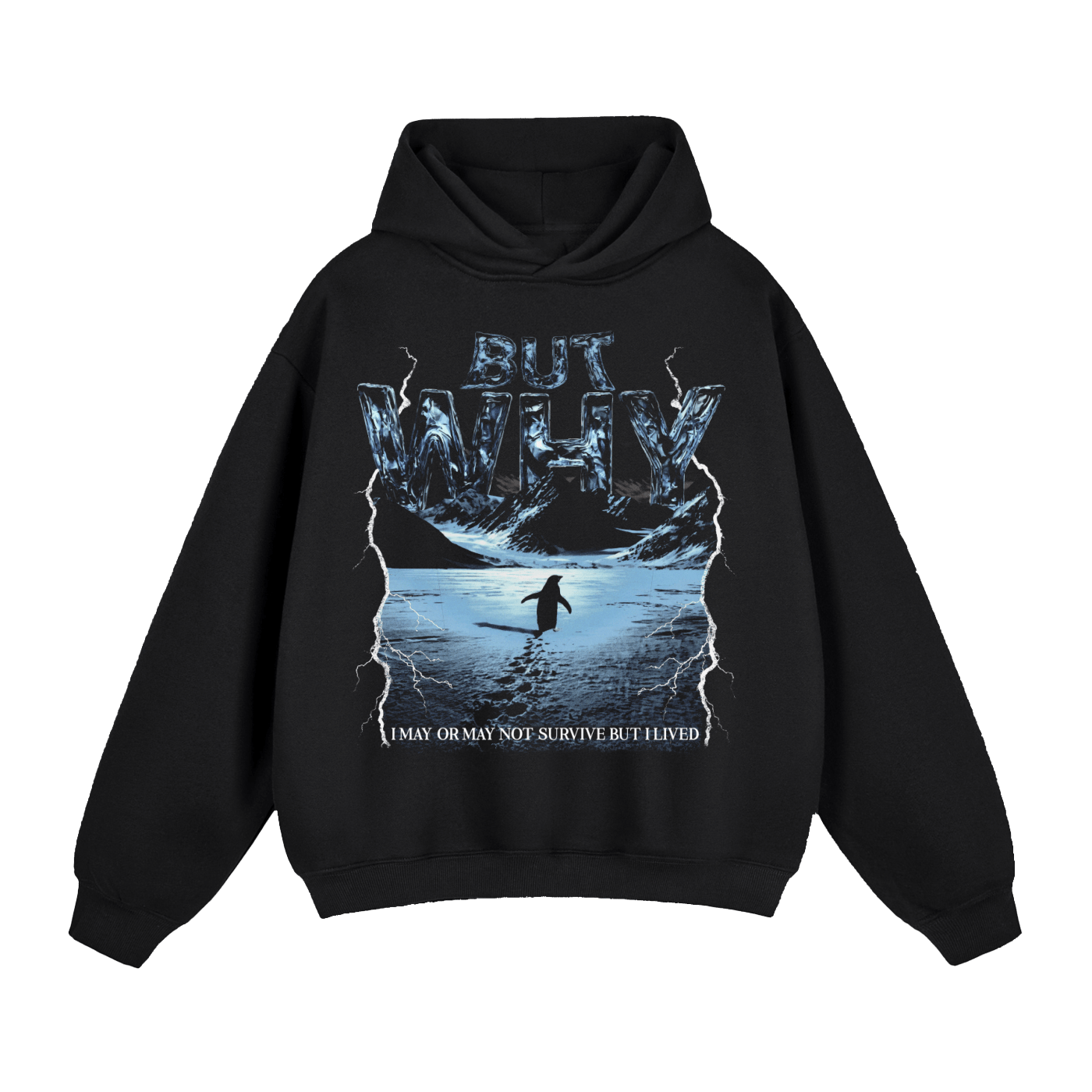 BUT WHY HOODIE anime