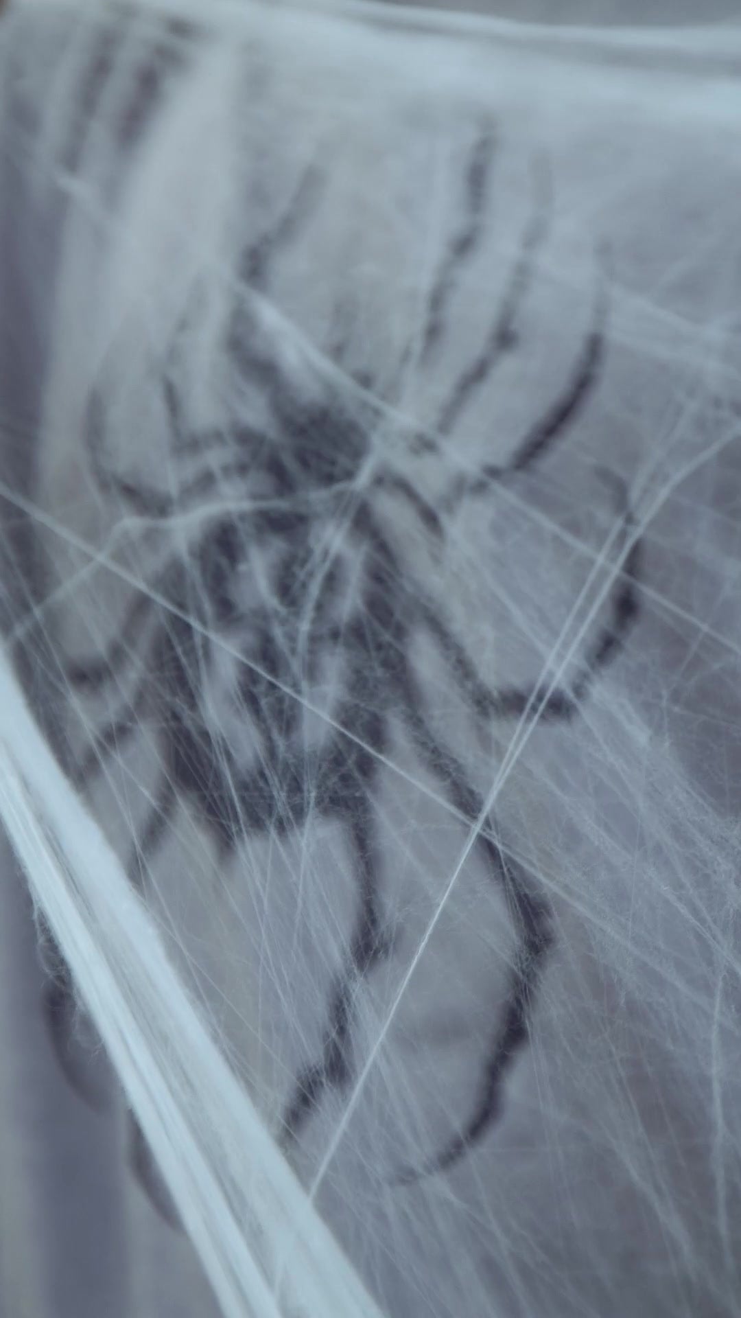 Shizuku · Spider No. 8